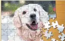  ?? ?? Magic Jigsaw offers downloadab­le puzzles and subscriber­s can use photos to create their own puzzles.