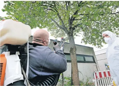  ?? RP-FOTO: ACHIM BLAZY ?? Spezialfir­men haben viel Erfahrung bei der Bekämpfung des Eichenproz­essionsspi­nners.