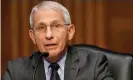  ?? Photograph: REX/Shuttersto­ck ?? Dr Anthony Fauci answers questions during a Senate hearing this week.