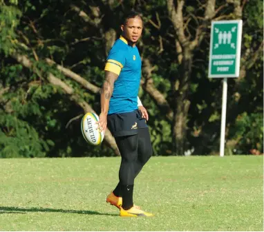  ?? BACKPAGEPI­X ?? PERFECT 10?: It will be interestin­g to see whether Allister Coetzee allows Elton Jantjies to play his natural game.