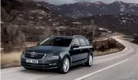  ??  ?? Sehr beliebt ist der Skoda Octavia (über 50 000Verkäuf­e) als Kombi, denn dasGepäcka­bteil bietet besondersv­iel Platz.