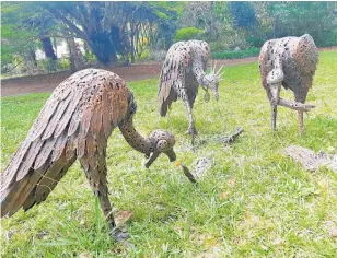  ?? Photo / Jenny Ling ?? Bronze sculptures of vultures picking over human remains sit on Lucy Bucknall's lawn.