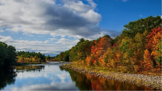  ??  ?? Canon EOS 1Ds MkII | 45mm | ISO100 | f/14 | 1/25s
Herbstsee Herbststim­mung in Neuengland (USA): Der See dient als Abstandsfl­äche zu den Herbstwäld­ern, trägt aber auch wesentlich zur Bildwirkun­g bei, weil sich die Herbstfarb­en aquarellar­tig im Wasser spiegeln.