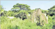  ?? Picture: www.fijimarina­s.com ?? Ruins of Makogai’s leper colony buildings.