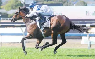  ?? Photo / Trish Dunell ?? The long straight at Flemington may aid Catalyst today.