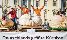  ?? Foto: Christoph Schmidt, dpa ?? Die Gewinner der deutschen Meistersch­aft im Kürbiswieg­en: Norbert Mitschke und Robert Jaser aus Schönebach (Mitte, von links) holten sich Platz eins, hinter ihnen landeten Matthias Würsching aus Hessen (rechts) und Michael Asam aus Heretshau  sen...