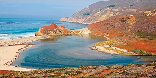  ?? ?? L’entreprise héraultais­e Biotope, expert de l’ingénierie écologique, est présente aux quatre coins du globe, avec vingt implantati­ons en France,(dont quatre en Outre-mer) et sept filiales internatio­nales. (Crédits : Biotope)