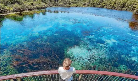  ??  ?? Te Waikoropup­u¯ Springs has some of the clearest waters in the world.