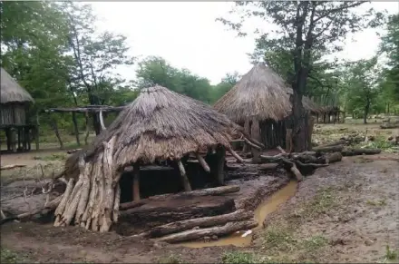  ??  ?? Binga villagers are going back to their homes that were damaged by floods early this year