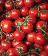  ?? ?? Could gene-edited tomatoes hit the shelves?