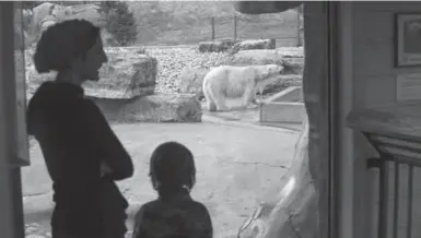  ?? MARCUS OLENIUK/TORONTO STAR ?? Visitors observe a polar bear at the Toronto Zoo, which is attempting to reverse declining attendance figures.