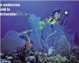  ??  ?? e undersea orld is ectacular .