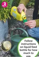  ??  ?? 3 Follow instructio­ns on liquid feed bottle for how much to use.