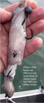  ??  ?? Offset circle hooks are effective but more likely to deeply hook fish than nonoffset circles.