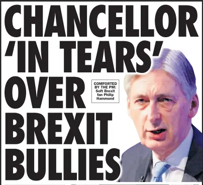  ??  ?? COMFORTED BY THE PM: Soft Brexit fan Philip Hammond