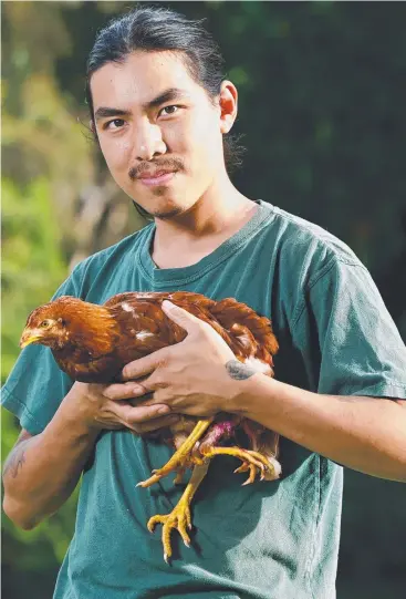  ?? ?? Wildlife carer and ecologist Wise Lum with April the chicken. Picture: Brendan Radke