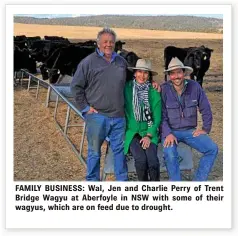  ??  ?? FAMILY BUSINESS: Wal, Jen and Charlie Perry of Trent Bridge Wagyu at Aberfoyle in NSW with some of their wagyus, which are on feed due to drought.