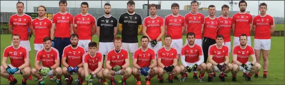  ?? Picture: Kieran Carr ?? The Louth squad that will be on duty at Croke Park on Sunday.