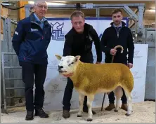  ?? ?? OVERALL MV champion from Douglas Webster, Lower Reiss, pictured with judge, Kris Sutherland (right) and sponsor, Iain MacDonald, Norvite