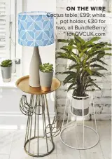  ??  ?? Cactus table, £99; white pot holder, £30 for two, all Bundleberr­y for QVCUK.COM ON THE WIRE