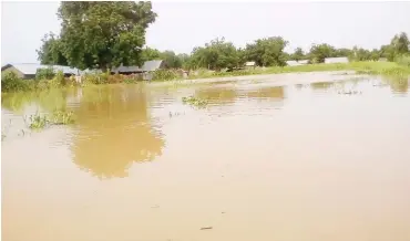  ??  ?? A rice producing area submerged by flood at Dole-Kaina