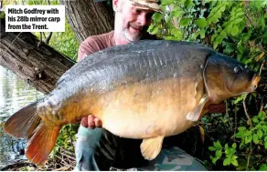  ??  ?? Mitch Godfrey with his 28lb mirror carp from the Trent.