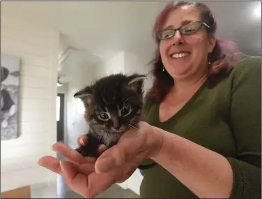  ?? Way in Bella Vista. (File Photo/NWA Democrat-Gazette/Flip Putthoff) ?? Nancy Cullins, executive director of the Bella Vista Animal Shelter, shows a kitten on Jan. 4 at the shelter located at 32 Bella Vista