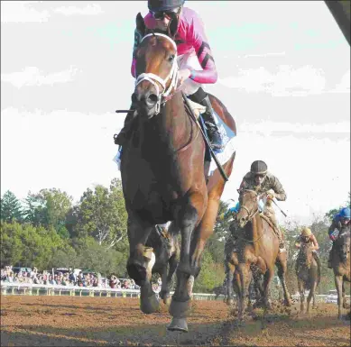  ?? KEENELAND/COADY PHOTOGRAPH­Y ?? Heavenly Love (above) is probably Mark Casse’s best shot at upsetting Moonshine Memories.