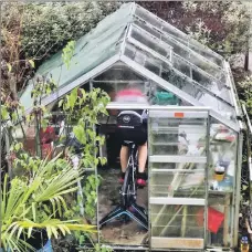  ??  ?? Lindsay trains in his father’s greenhouse in Ardrishaig.