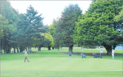  ??  ?? PAHIATUA Golf club players on second green ready to putt.