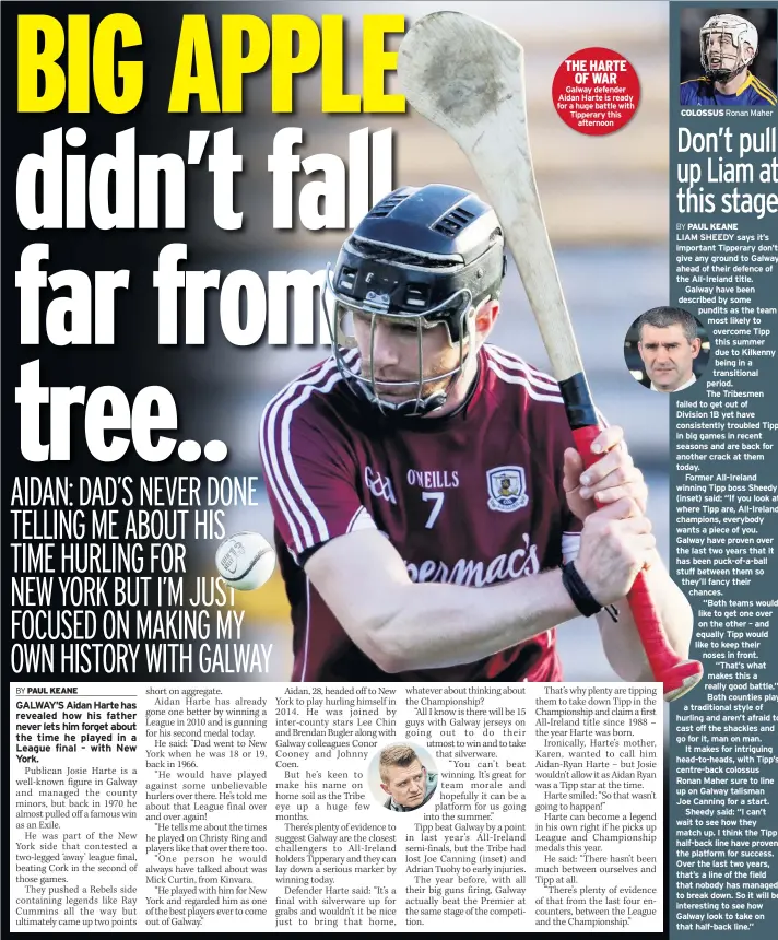  ??  ?? THE HARTE OF WAR Galway defender Aidan Harte is ready for a huge battle with Tipperary this afternoon COLOSSUS Ronan Maher