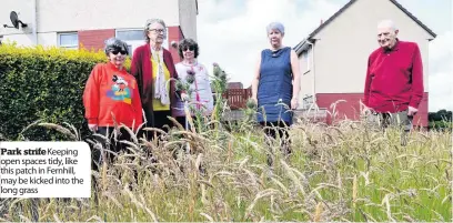  ??  ?? Park strifeKeep­ing open spaces tidy, like this patch in Fernhill, may be kicked into the long grass