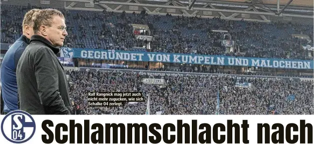  ??  ?? Ralf Rangnick mag jetzt auch nicht mehr zugucken, wie sich Schalke 04 zerlegt.