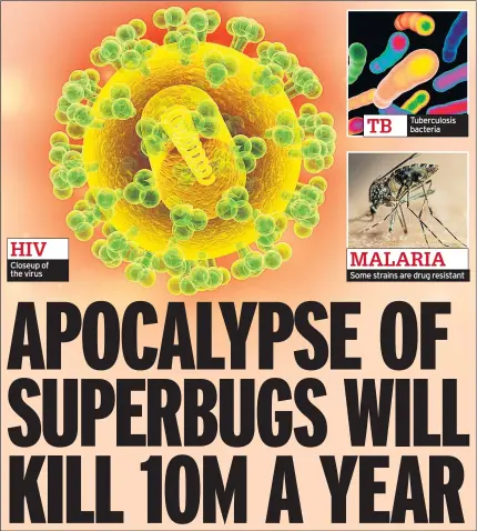  ??  ?? Closeup of the virus Tuberculos­is bacteria Some strains are drug resistant