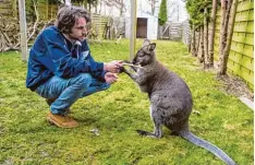  ?? Foto: Philipp Schulze, dpa ?? Benjamin Müller spielt mit dem Känguru Viggo in seinem Garten. Dieser ist nach An sicht der Behörden aber zu klein für das Tier.