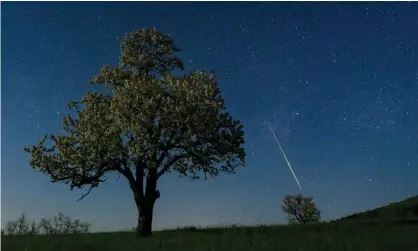  ?? Photograph: Peter Komka/EPA ?? Sscientist­s want to find a meteorite that landed in France because it contains ‘very precious informatio­n’.