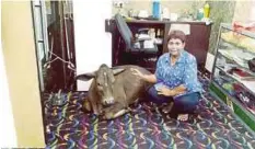  ??  ?? JEEVAJOHTH­Y bersama lembu yang masuk ke kedai pakaiannya.