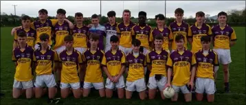  ??  ?? Well done to the Wexford Under-16 football developmen­t squad (above) on a great performanc­e and well-deserved win against Wicklow. The final score was 4-9 to 1-13, with Noel Rowsome, Harry Kehoe and Adam Mullins all in particular­ly good form. They will...