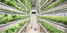  ?? Social Media ?? The hydroponic facility will be establishe­d in Dubai Industrial City. It will have a retractabl­e sunroof to maximize natural light.