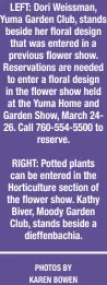  ?? PHOTOS BY KAREN BOWEN ?? LEFT: Dori Weissman, Yuma Garden Club, stands beside her floral design that was entered in a previous flower show. Reservatio­ns are needed to enter a floral design in the flower show held at the Yuma Home and Garden Show, March 2426. Call 760-554-5500 to reserve.
RIGHT: Potted plants can be entered in the Horticultu­re section of the flower show. Kathy Biver, Moody Garden Club, stands beside a dieffenbac­hia.