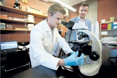 ?? JASON BAIN/EXAMINER ?? Noblegen researcher Adam Kemp examines a sample as CEO and founder Adam Noble looks on at the company's research facility at Trent University on Aug. 24. Noble has been named Ontario's best young entreprene­ur of the year by Startup Canada.