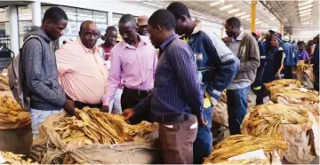  ?? ?? Farmers are demanding to benefit more from the tobacco value chain