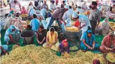  ?? Source: Golden Temple ?? The free community kitchen at The Golden Temple feeds thousands of people daily.