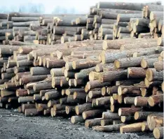  ?? CANADIAN PRESS FILES ?? Logs are stacked at Murray Brothers Lumber Company woodlot in Madawaska, Ont.