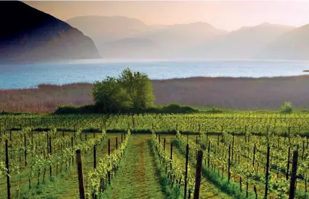  ?? (Getty Images) ?? Franciacor­ta La bellezza del paesaggio e la bontà dei vini possono essere assaporati con INSI&ME
