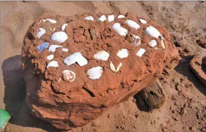  ?? RUSSELL WANGERSKY/TC MEDIA ?? This block of clay was pried from a cliff face by vandals in the P.E.I. national park.