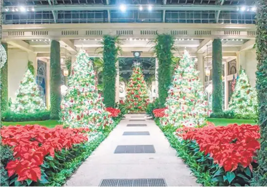  ?? LONGWOODGA­RDENS ?? A Longwood Christmas continues at Longwood Gardens in Kennett Square through Jan. 8.