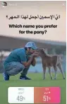  ??  ?? the poll for the pony’s name on sheikh hamdan’s instagram
