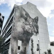  ??  ?? Los Angeles artist Faith 47’s haunting 10-storey mural sits ready to pounce on 12th Avenue at Seventh Street.