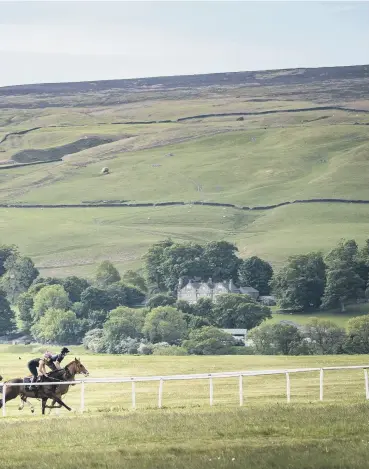  ?? PICTURE: PA/YPN. ?? STRETCHING LEGS: Charlotte, opposite, likes to go for a run at Middleham Gallops, and is a fan of the late Joe Cocker.